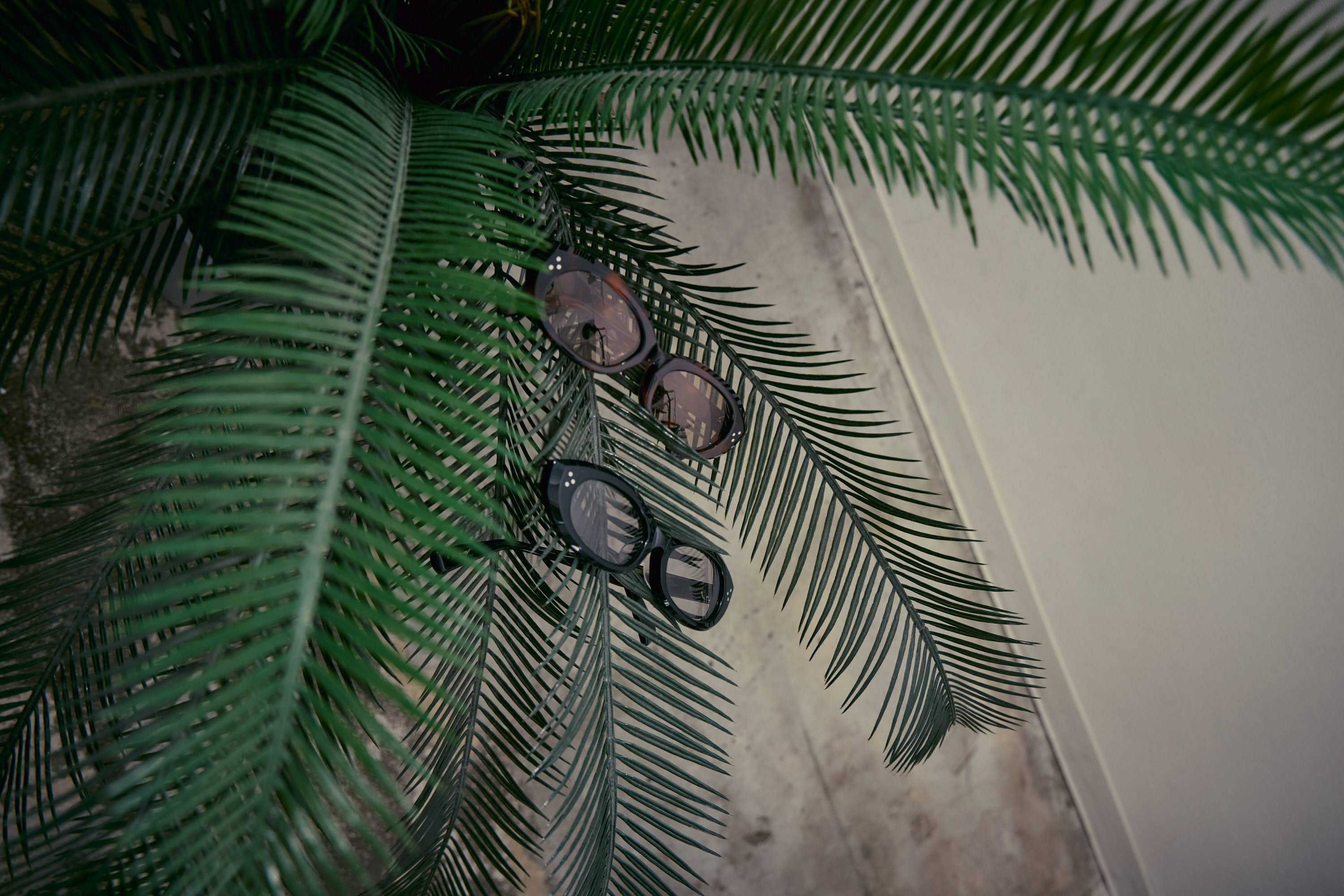 EYEWEAR_Narrow Brown